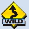 wild symbol - 5 reel drive