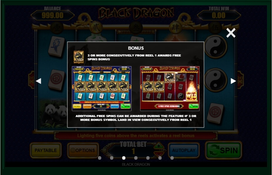 black dragon slot machine detail image 4