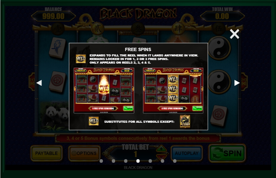 black dragon slot machine detail image 3