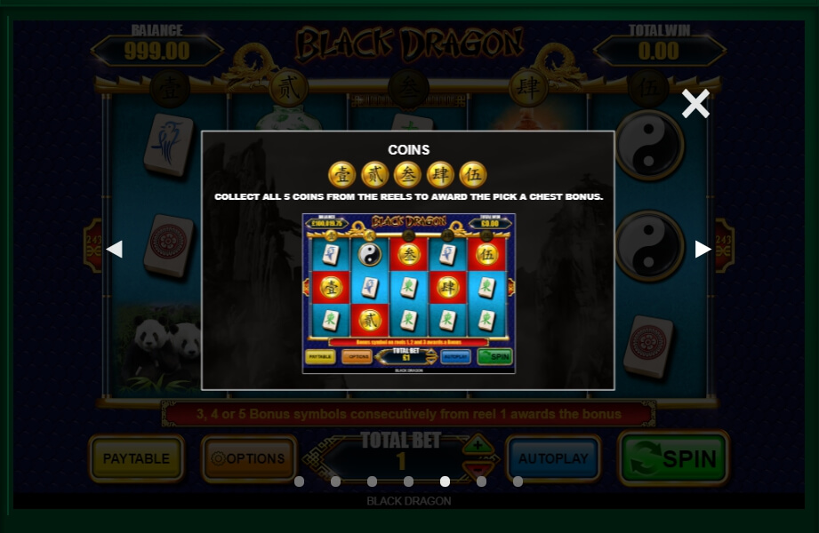 black dragon slot machine detail image 2