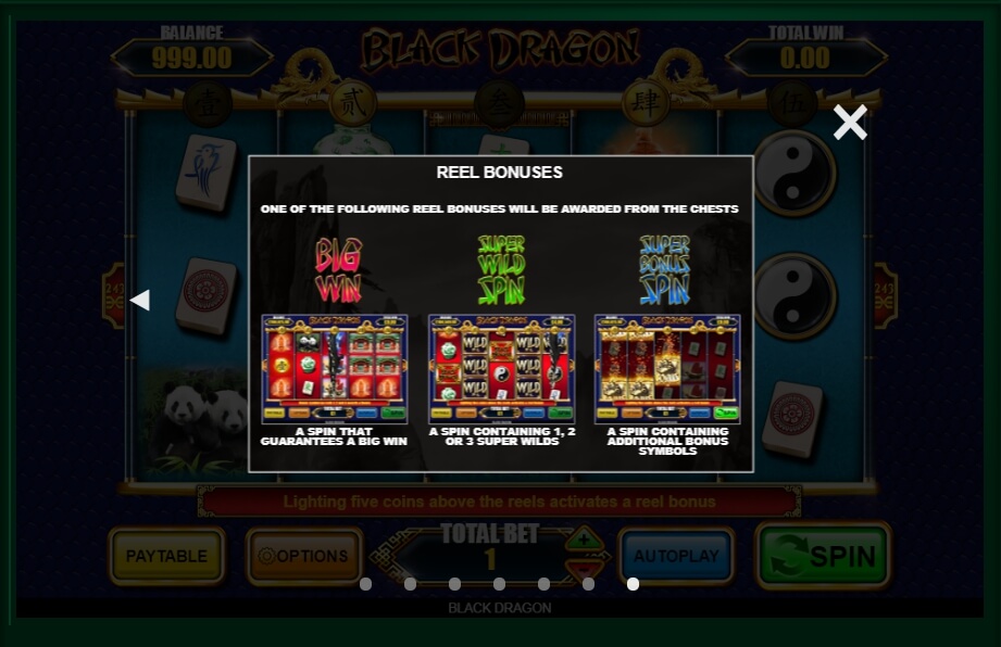 black dragon slot machine detail image 0