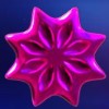 small purple star - starmania