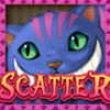 scatter - alice adventure