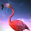 pink flamingo - at the copa