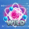 wild symbol - attraction