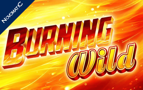 Burning WILD slot machine