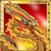 wild symbol - eastern dragon