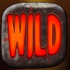 wild symbol - hot gems