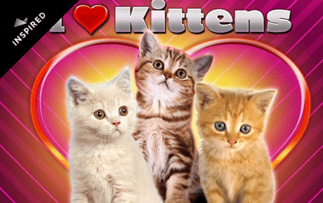 I Love Kittens slot machine