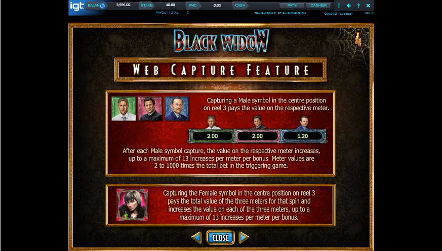 black widow slot machine detail image 3