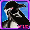 wild symbol - lucky 3 penguins