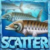 scatter - lucky angler