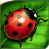 ladybug - lucky ladys charm deluxe