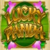 wild symbol - lucky panda