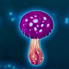 wild symbol - magic mushrooms