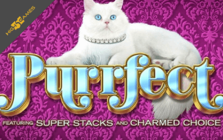 Purrfect slot machine