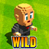 wild symbol - sensible soccer euro cup