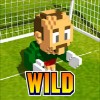 wild symbol - sensible soccer euro cup