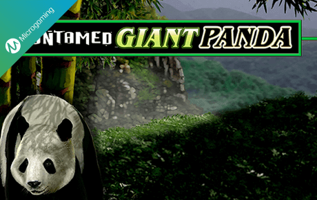 Untamed Giant Panda slot machine