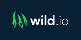 Wild.io Casino